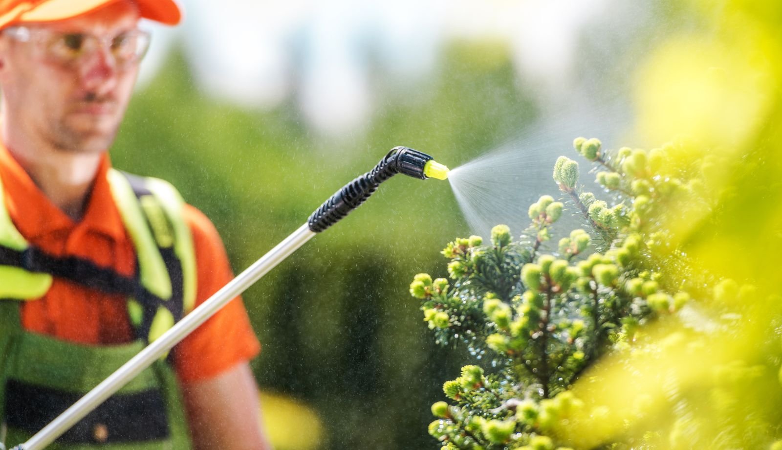 personale-servizi-agricoli-e-giardinaggio-verona-veneto Servizi Agricoli e Giardinaggio Professionali a Verona