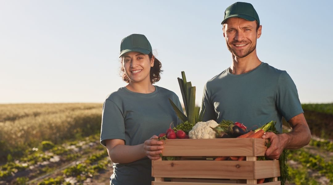 personale-specializzato-raccolta-verdura-verona-veneto-qnd-servizi personale specializzato raccolta verdura verona veneto qnd servizi