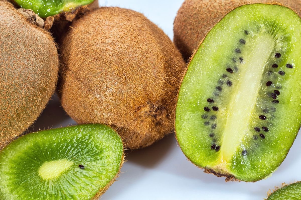 raccolta-kiwi-veneto-qnd-servizi-verona raccolta kiwi veneto qnd servizi verona